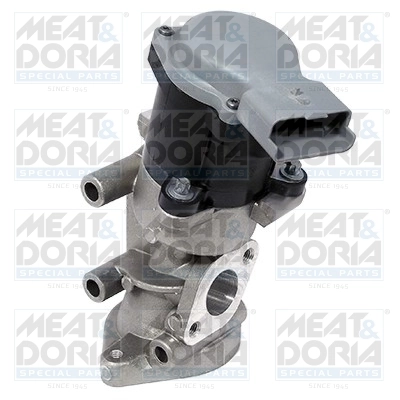EGR Valve
